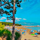 Otok Rab razgled & kupanje na Rajskoj plaži - Lopar