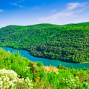 Biseri Istre: Rovinj - Limski kanal - Poreč (1 dan)