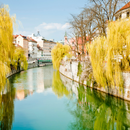 Volčji potok Arboretum i Ljubljana iz Istre (1 dan)