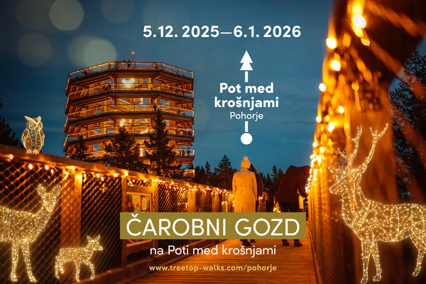 Zimska idila: Put Među Krošnjama i Maribor (1 dan)