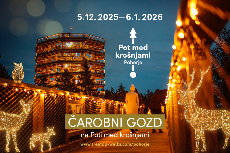 Zimska idila: Put Među Krošnjama i Maribor (1 dan)