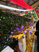 Pordenone, sajam cvijeća 2026. i shopping u Palmanovi iz Zagreba i Rijeke (1 dan)