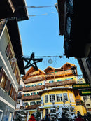 Advent : Hallstatt i jezero St. Wolfgang (1 dan)