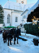 Advent : Hallstatt i jezero St. Wolfgang (1 dan)