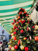 Advent : Hallstatt i jezero St. Wolfgang (1 dan)