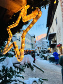 Advent : Hallstatt i jezero St. Wolfgang (1 dan)