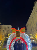 Advent: Trst i dvorac Miramare (1 dan)