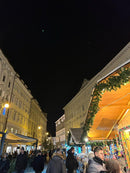 Advent: Trst i dvorac Miramare (1 dan)