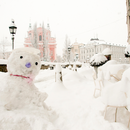 Zimska idila Bleda i Ljubljane iz Zagreba