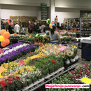 Pordenone, sajam cvijeća 2026. i shopping u Palmanovi iz Zagreba i Rijeke (1 dan)