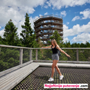 Zimska idila: Put Među Krošnjama i Maribor (1 dan)