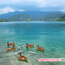 Bled & Bohinj iz Zagreba