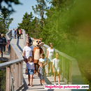 Zimska idila: Put Među Krošnjama i Maribor (1 dan)