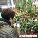 Pordenone, sajam cvijeća 2026. i shopping u Portoguaru iz Istre (1 dan)