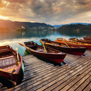 Bled i Ljubljana iz Istre (1 dan)