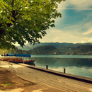 Bled i Ljubljana iz Istre (1 dan)