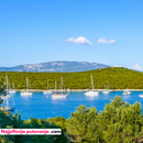 Razgled & kupanje na otocima: Cres i Mali Lošinj