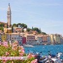 Razgled Rovinja & kupanje park šuma Zlatni rt